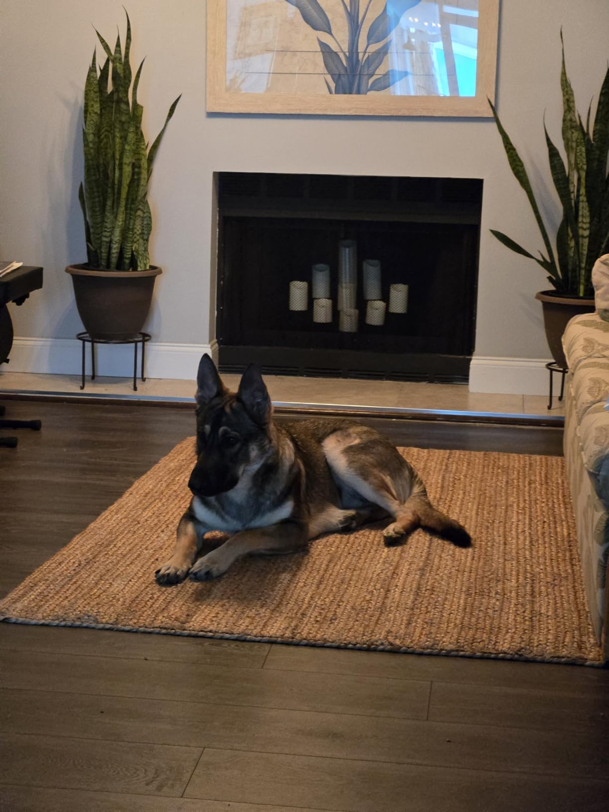 nuLOOM Rigo Jute Hand Woven Area Rug, 6x9, Natural, Solid Farmhouse Design, Natural Fiber customer photo 2