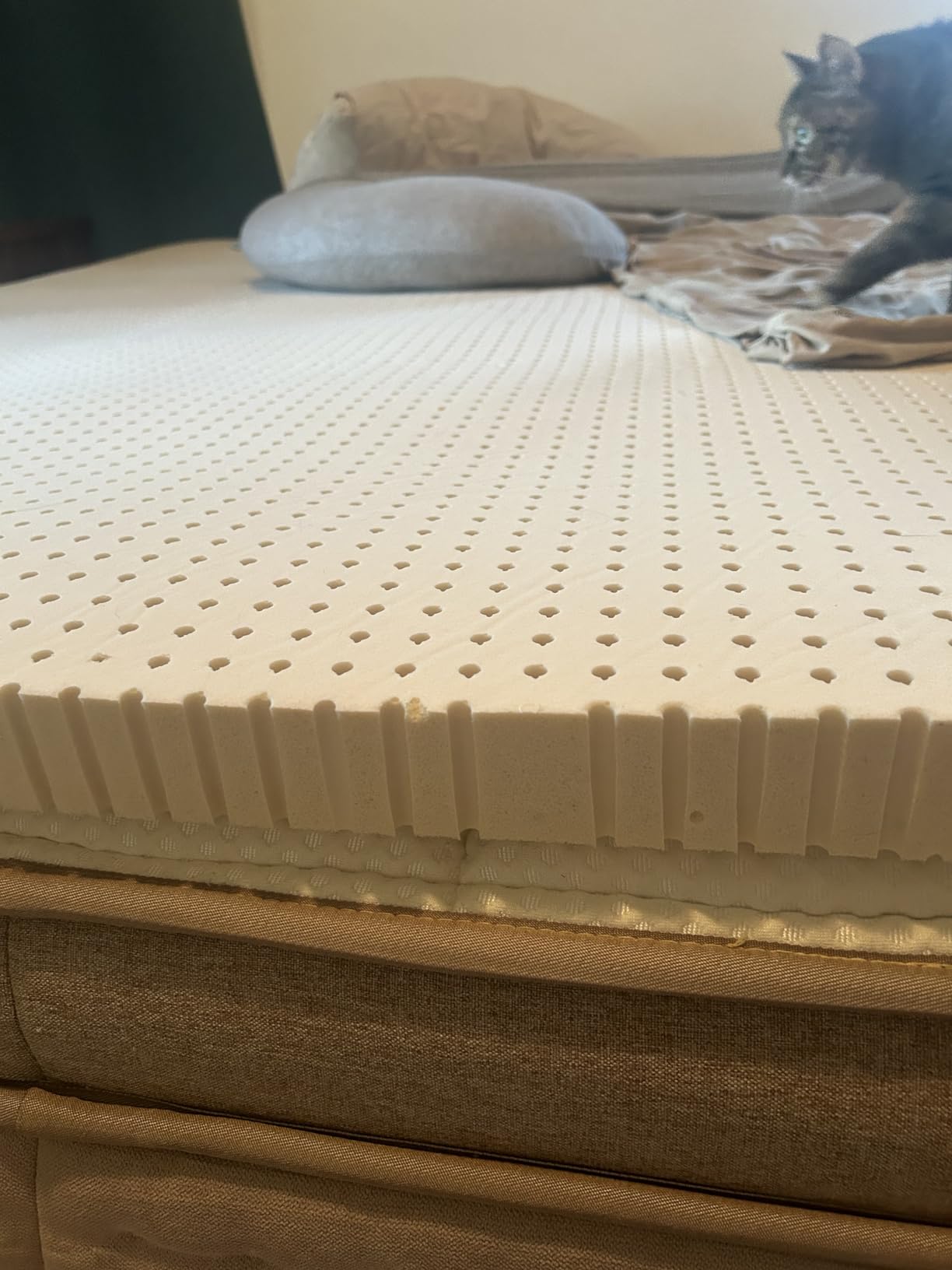 Pure Green Natural Latex Mattress Topper - Firm - 2 Inch - Queen Size (GOLS Certified Organic) customer photo 2