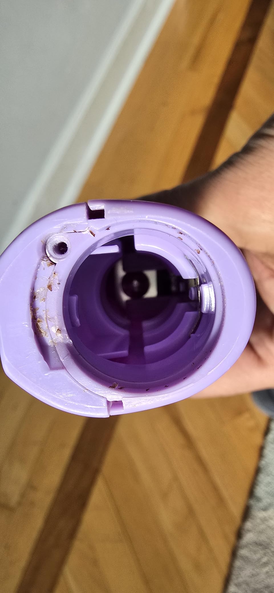 Oral-B Kids Battery Power Electric Toothbrush Featuring Disney's Frozen for Children and Toddlers age 3+, Soft (Characters May Vary) customer photo 2