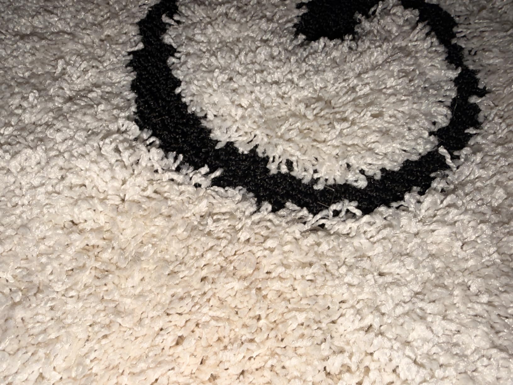SAFAVIEH Florida Shag Collection Area Rug - 5'3