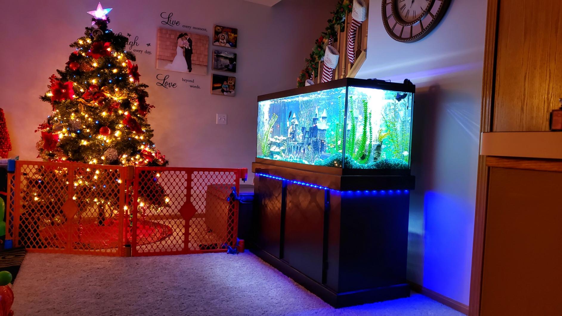 Bason TV LED Backlight for 55-65 inch TV, Bluetooth APP & Remote Control Strip Lights, Immersive Music Sync RGB USB Bias Lighting, Ambient TV Backlighting for Gaming, Movie & Home Theater Setup customer photo 2