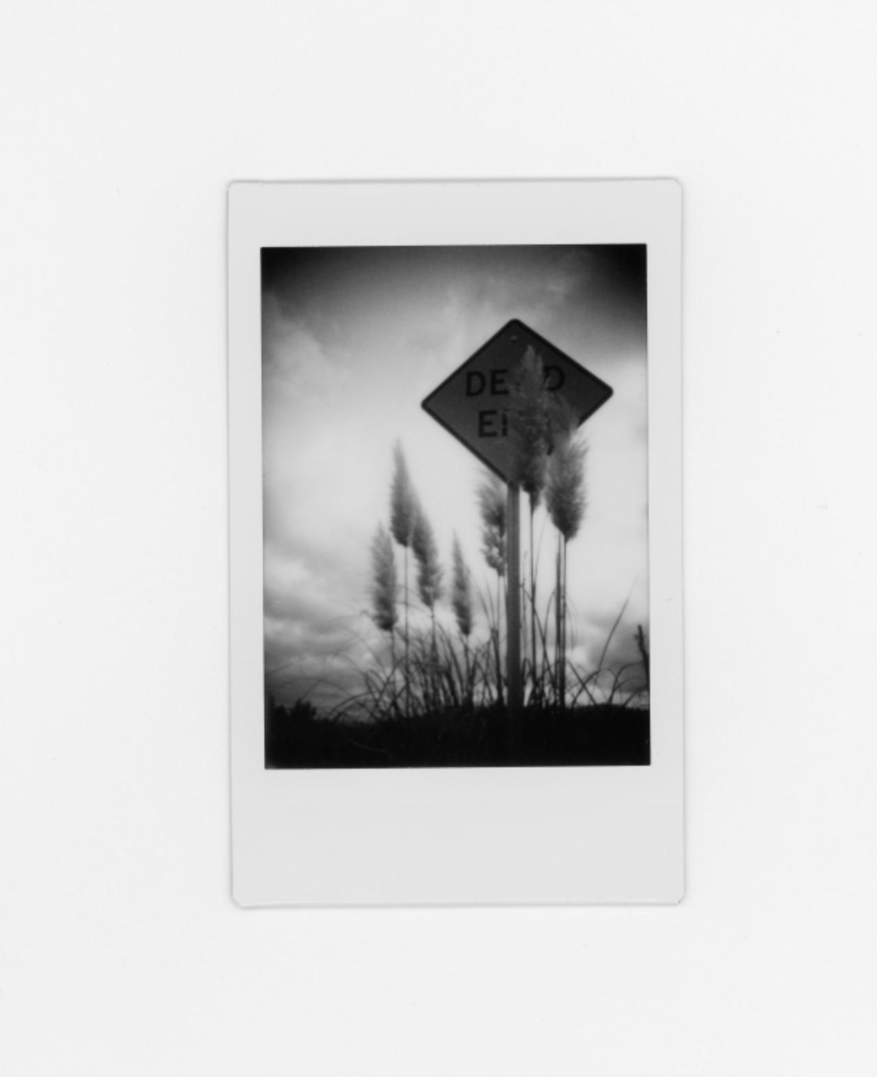 Fujifilm Instax Mini Monochrome Film - 20 Exposures customer photo 1