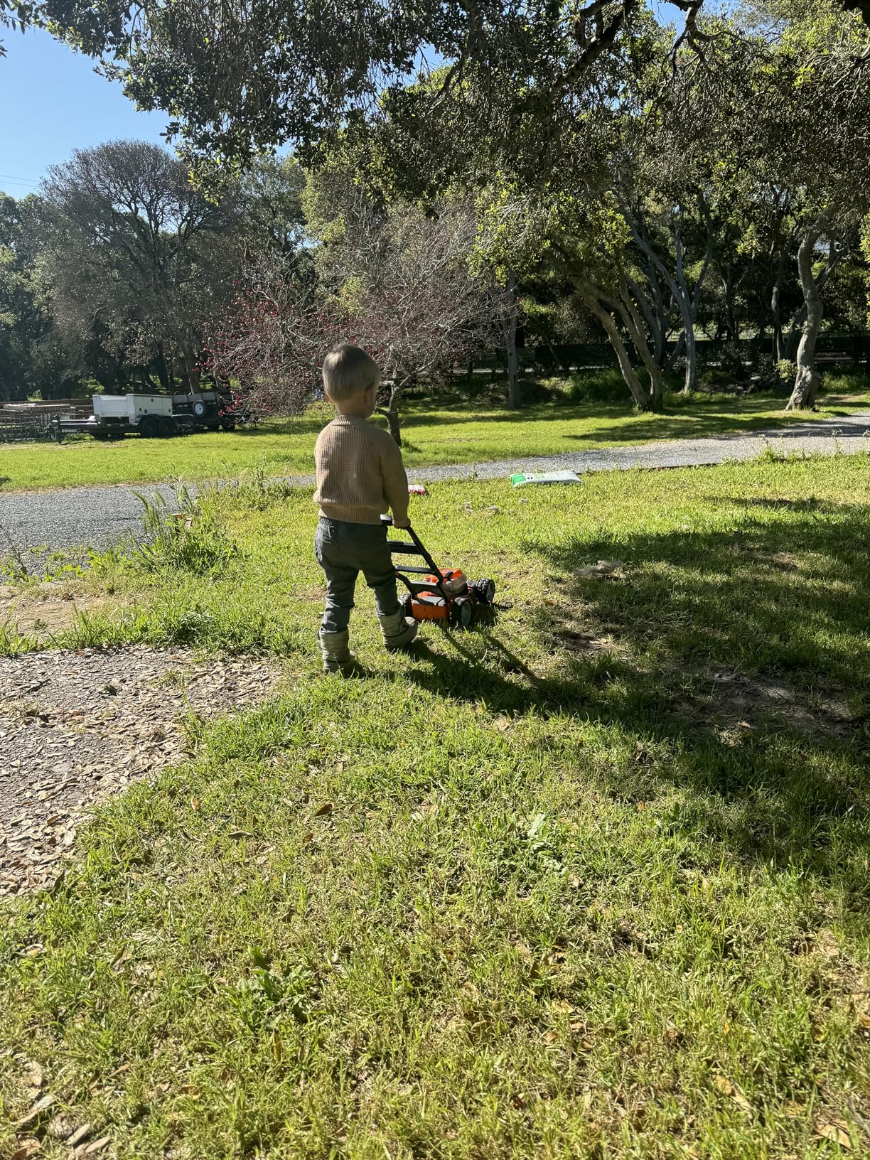 Husqvarna Toy Lawn Mower with Realistic Sounds and Light-Up Engine, Toddler Lawn Mower Toy for Ages 2 and Up customer photo 2