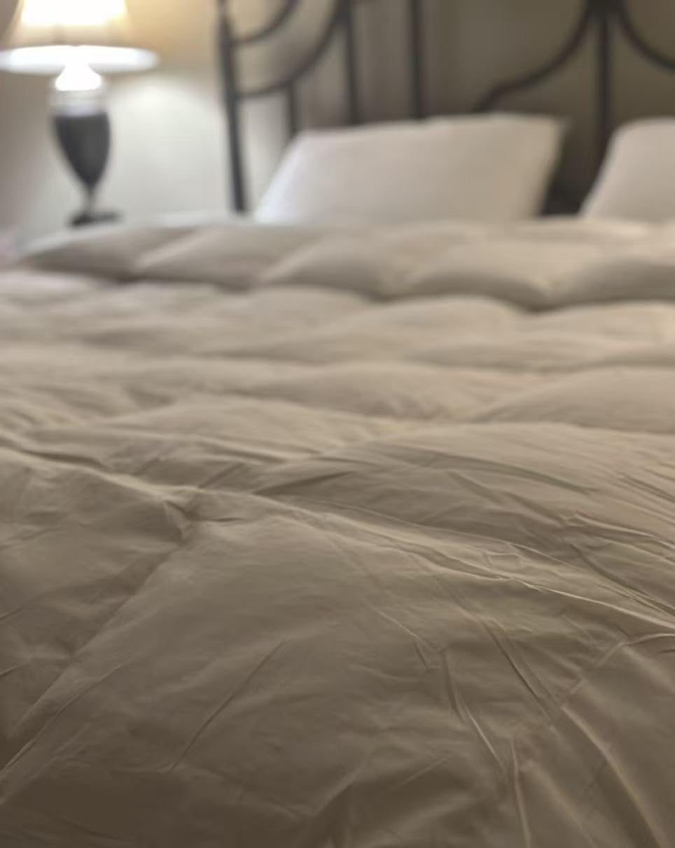 Globon Winter White Goose Down Comforter Queen Size, Down Duvet Insert, 800 Fill Power, 420 Thread Count Ultra Soft Noiseless Shell with Corner Tabs, White customer photo 1