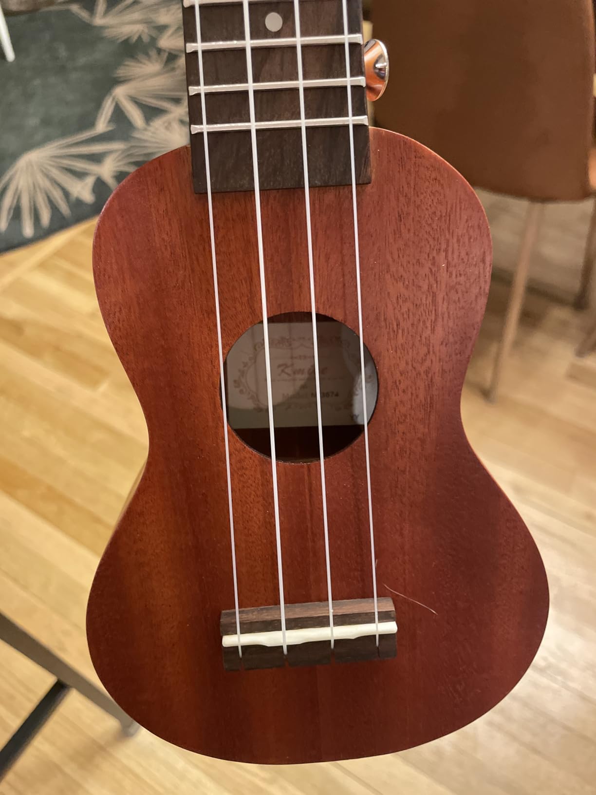 Kmise Professional Ukulele for Adult Beginner, Free Online Lesson 23 inch Concert Mahogany Ukelele with Kids Ukele Bundle Starter Kit Gig Bag Case, Strap, Tuner, Nylon Strings, Book, Uke Gift Choice customer photo 2