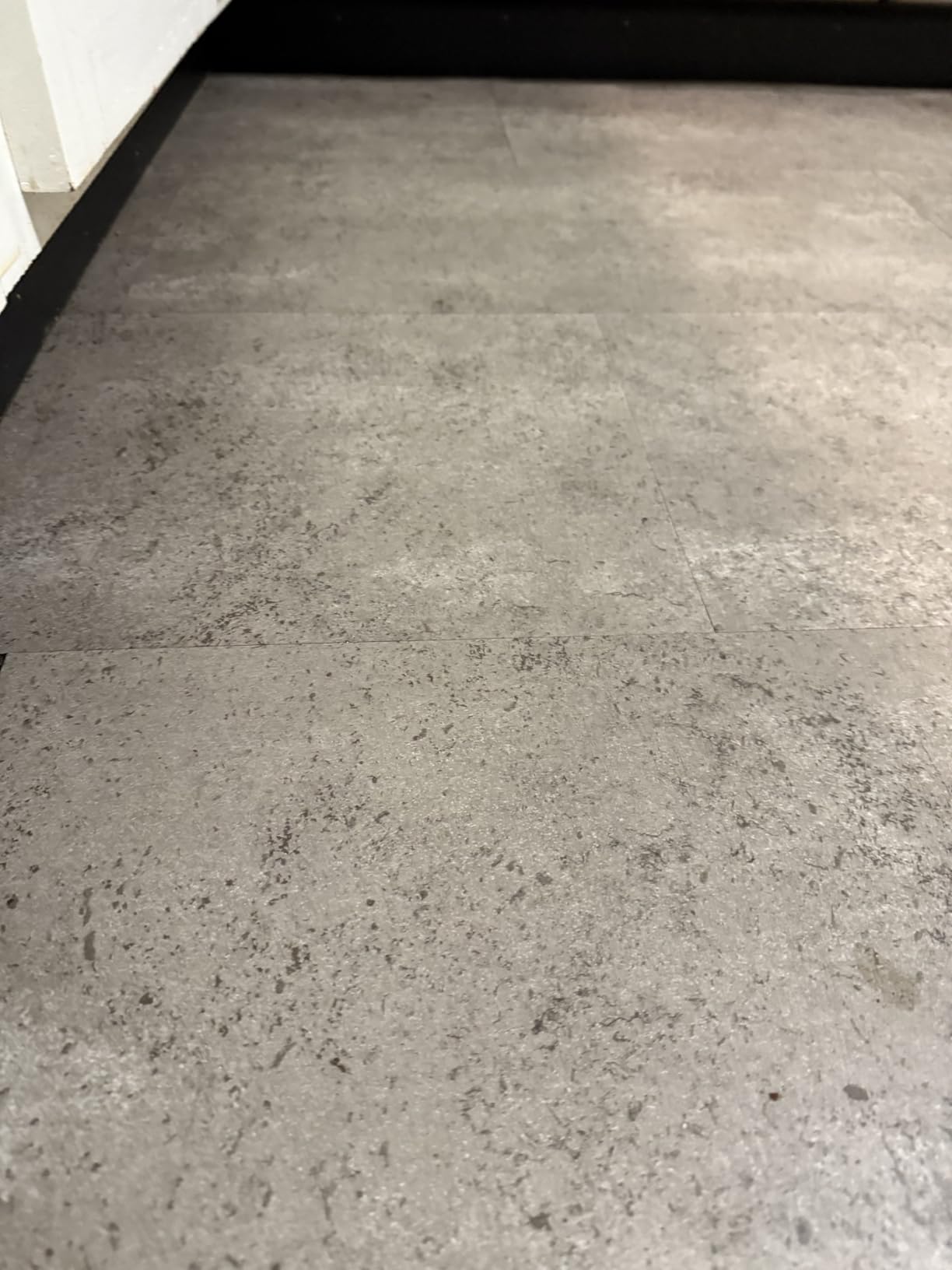 BISSELL Crosswave Pet Pro All in One Wet Dry Vacuum Cleaner and Mop for Hard Floors and Area Rugs, Purple, 2306A customer photo 1