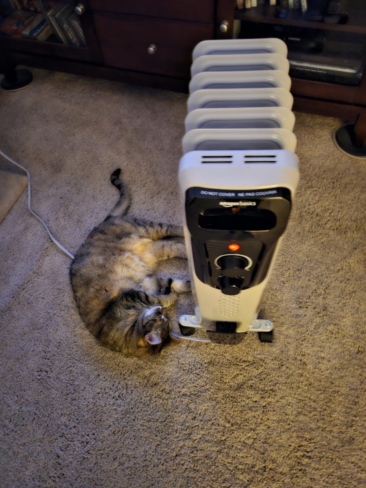 Amazon Basics Portable Oil Radiator Heater, Indoor Use, 3 Heat Settings, Over-Heat Protection, ETL-certified Safety, 7 Oil-Filled Steel Fins, 1500W, Tip-Over Protection, White customer photo 1