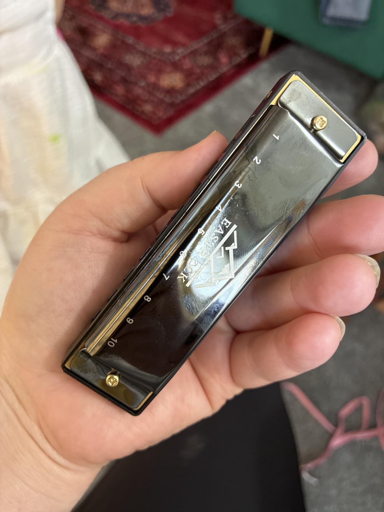 EastRock Blues Harmonica Mouth Organ 10 Hole C Key with Case, Diatonic Harmonica customer photo 1