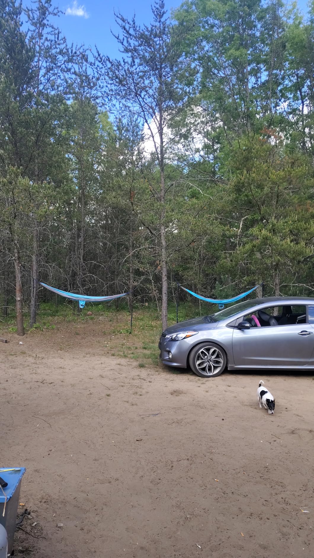 Kootek Camping Hammock, Portable Hammocks with Tree Straps & Attached Carry Bag, Camping Essentials Gear, Perfect for Outside Indoor Hiking Beach Backpack Travel customer photo 1
