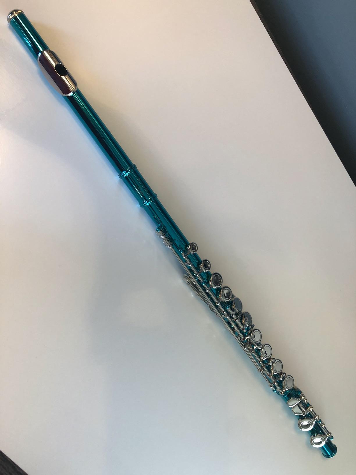 EASTROCK Closed Hole Flutes C 16 Key for Beginner, Kids, Student -Silver Nickel Flute with Case Stand and Cleaning kit (Blue) customer photo 2