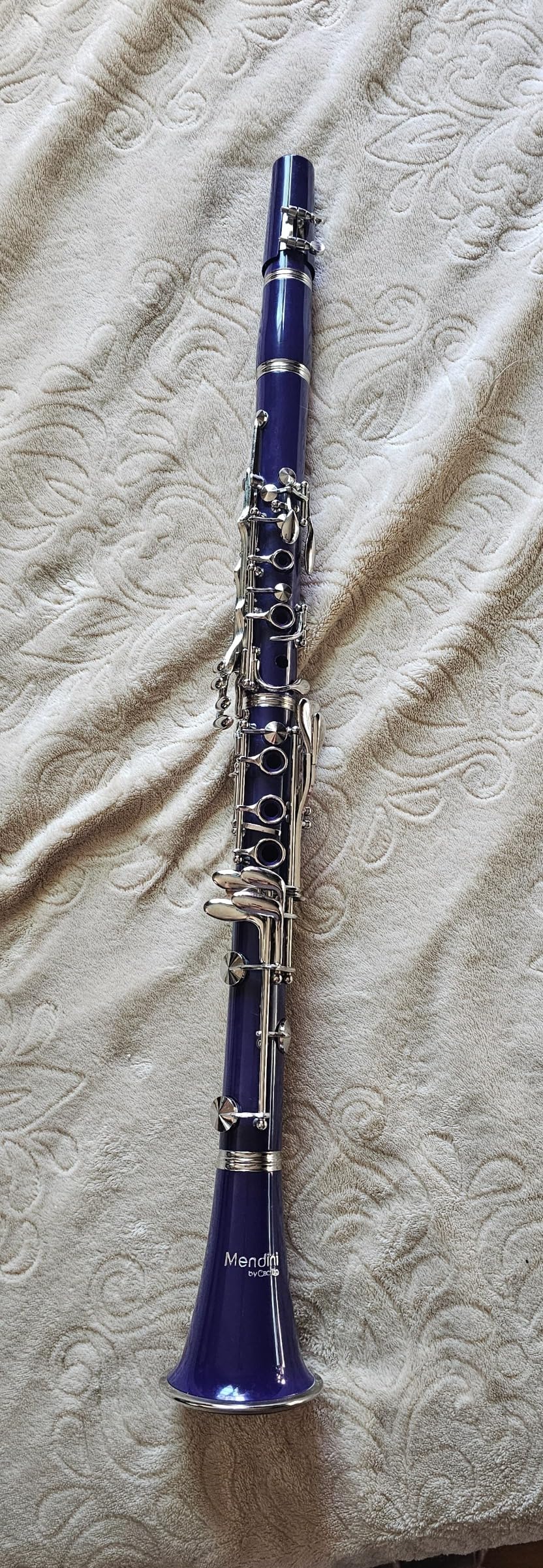 Mendini by Cecilio B Flat Clarinet for Beginner, Ebonite Bb Clarinet with 2 Replaceable Barrels, 10 Reeds, Stand, Pocketbook, Mouthpiece, Hard Case, Gloves (Black) customer photo 2