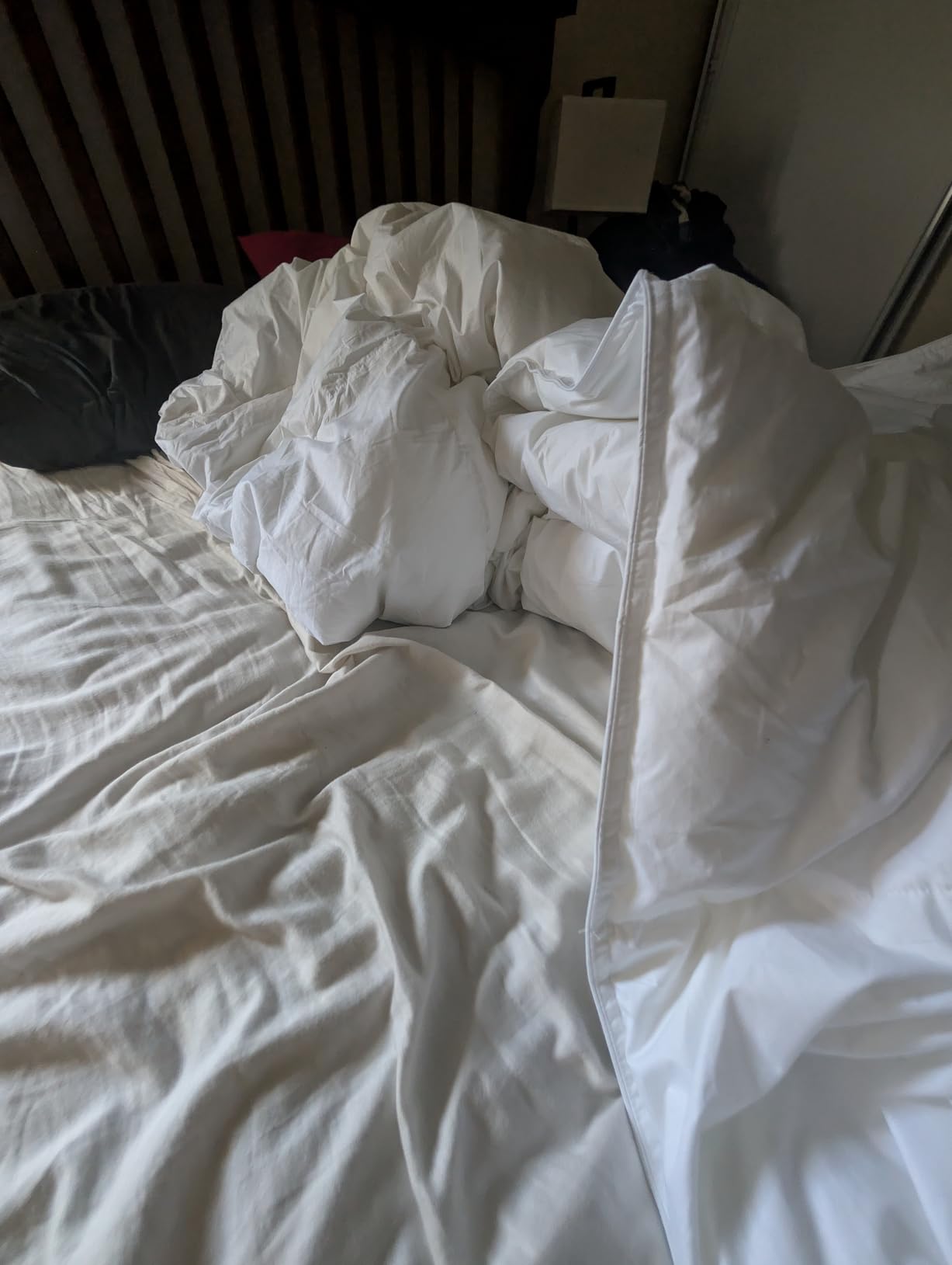 Serta Goose Feather Down Fiber Comforter Queen Size - 100% Cotton Cover Duvet Insert - Hotel Luxury Hypoallergenic Bedding Comforter All Season Medium Warmth 90 x 90 Inch White customer photo 1