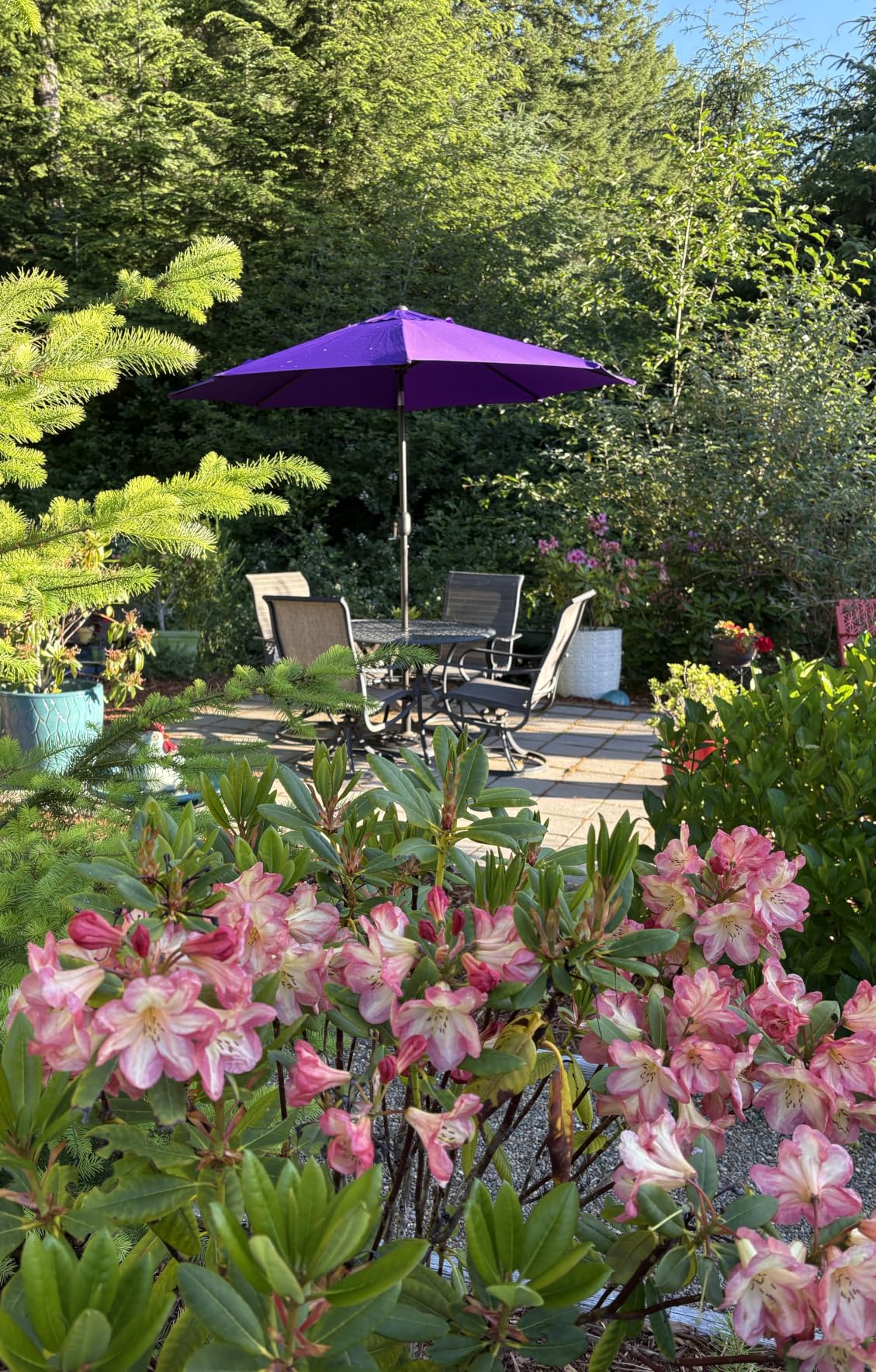 Blissun 9' Outdoor Patio Umbrella, Outdoor Table Umbrella, Yard Umbrella, Market Umbrella with 8 Sturdy Ribs, Push Button Tilt and Crank customer photo 2