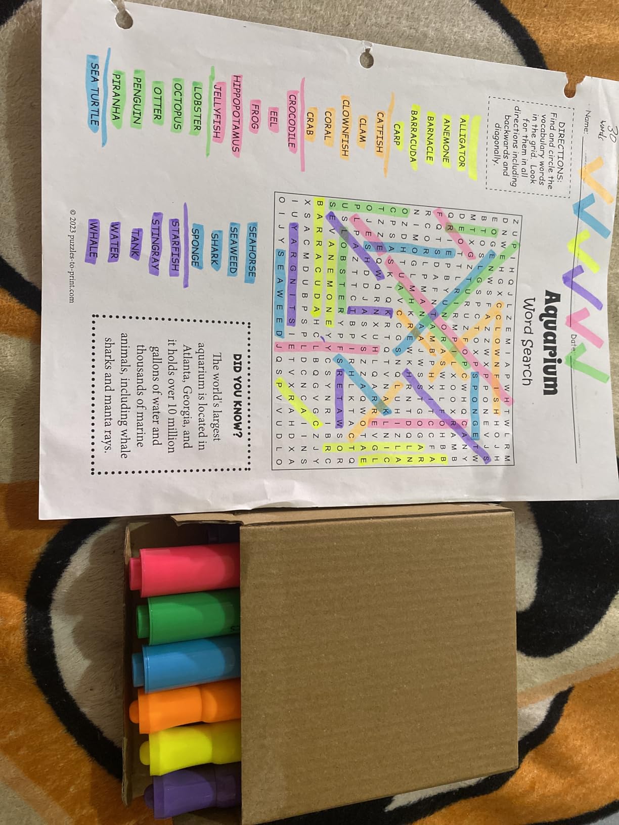 Amazon Basics Tank Style Highlighters, Chisel Tip, Bible Highlighter, Office and School Supplies, 12 Pack, Assorted Colors customer photo 2