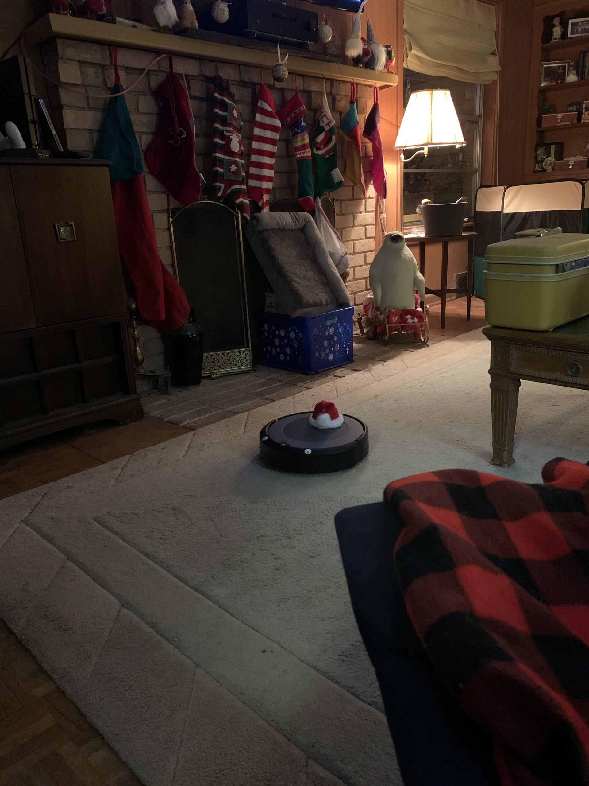 Roomba i3+ EVO (3550) Self-Emptying Robot Vacuum - Now Clean by Room with Smart Mapping, Empties Itself for Up to 60 Days, Works with Alexa, Ideal for Pet Hair customer photo 1