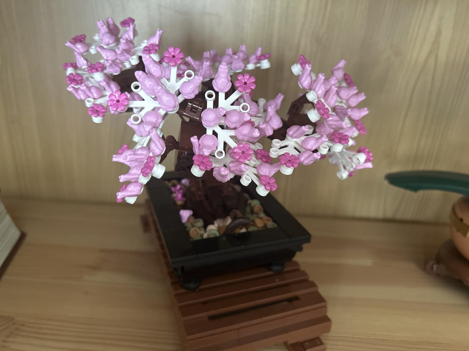 LEGO Botanicals Bonsai Tree Building Set - Artificial Bonsai Tree for Home Decor, Ages 18+ - 10281 customer photo 2