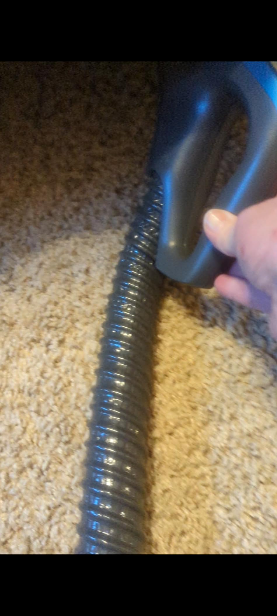Kenmore 600 Series Pet Friendly Lightweight Bagged Canister Vacuum with Pet PowerMate, Pop-N-Go Brush, 2 Motors, HEPA Filter, Aluminum Telescoping Wand, Retractable Cord and 4 Cleaning Tools, Purple customer photo 2