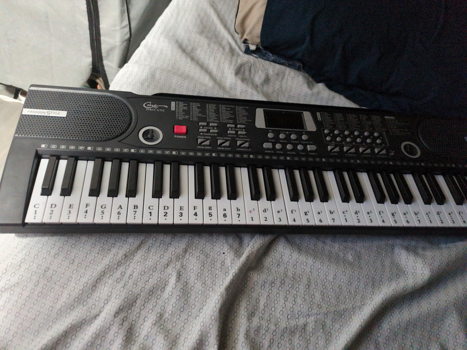 61 Key Electronic Music Keyboard with Lighted Keys for Beginner Adults Teens Kids, Teaching Modes, LCD Display, Microphone, Headphone Jack customer photo 1