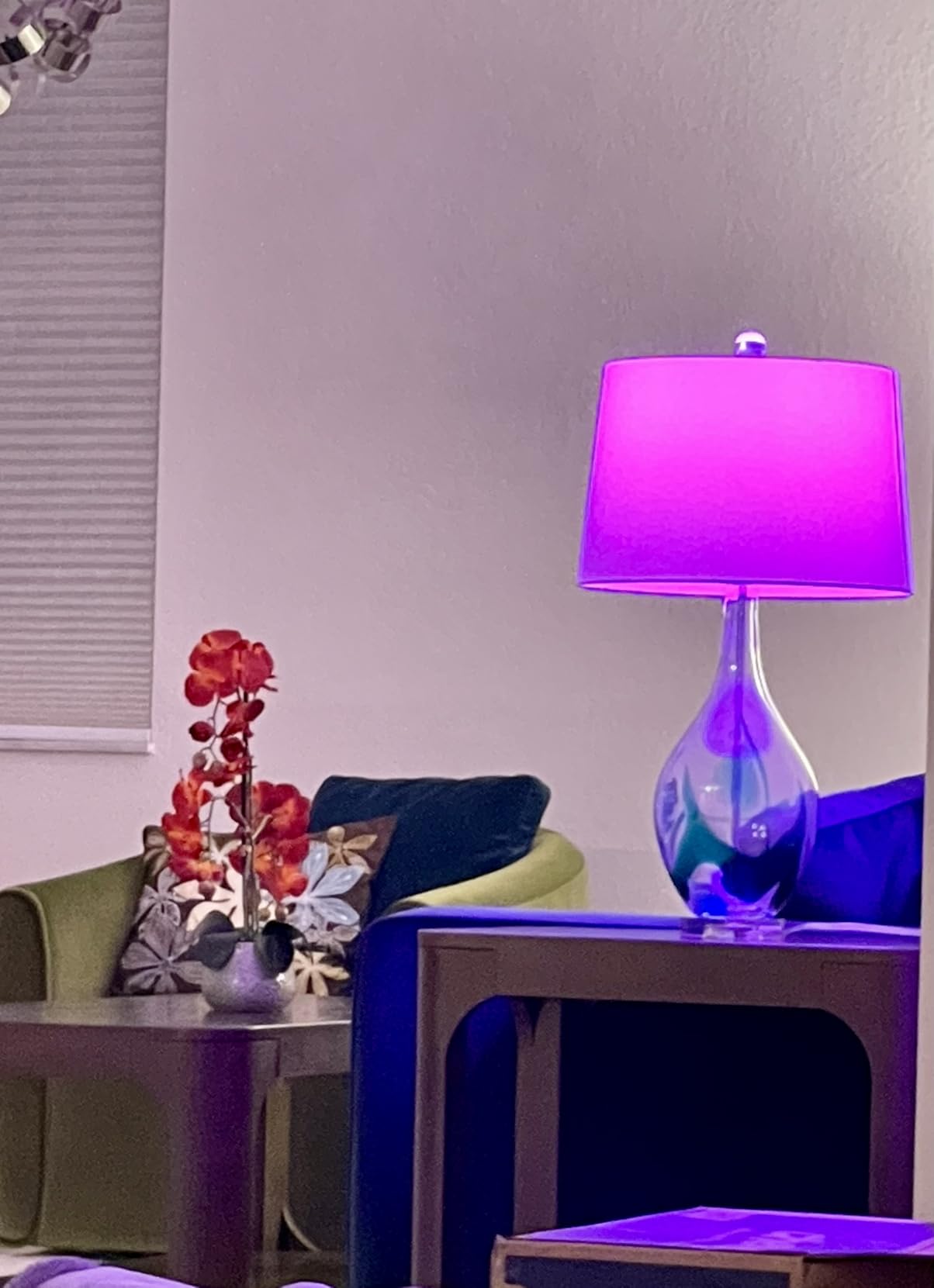 TP-Link Kasa Smart Bulb, Full Color Changing Dimmable Smart WiFi Light Bulb Compatible with Alexa and Google Home, A19, 9W 800 Lumens, 2.4Ghz only, No Hub Required, 1-Pack (KL125), Multicolor customer photo 1
