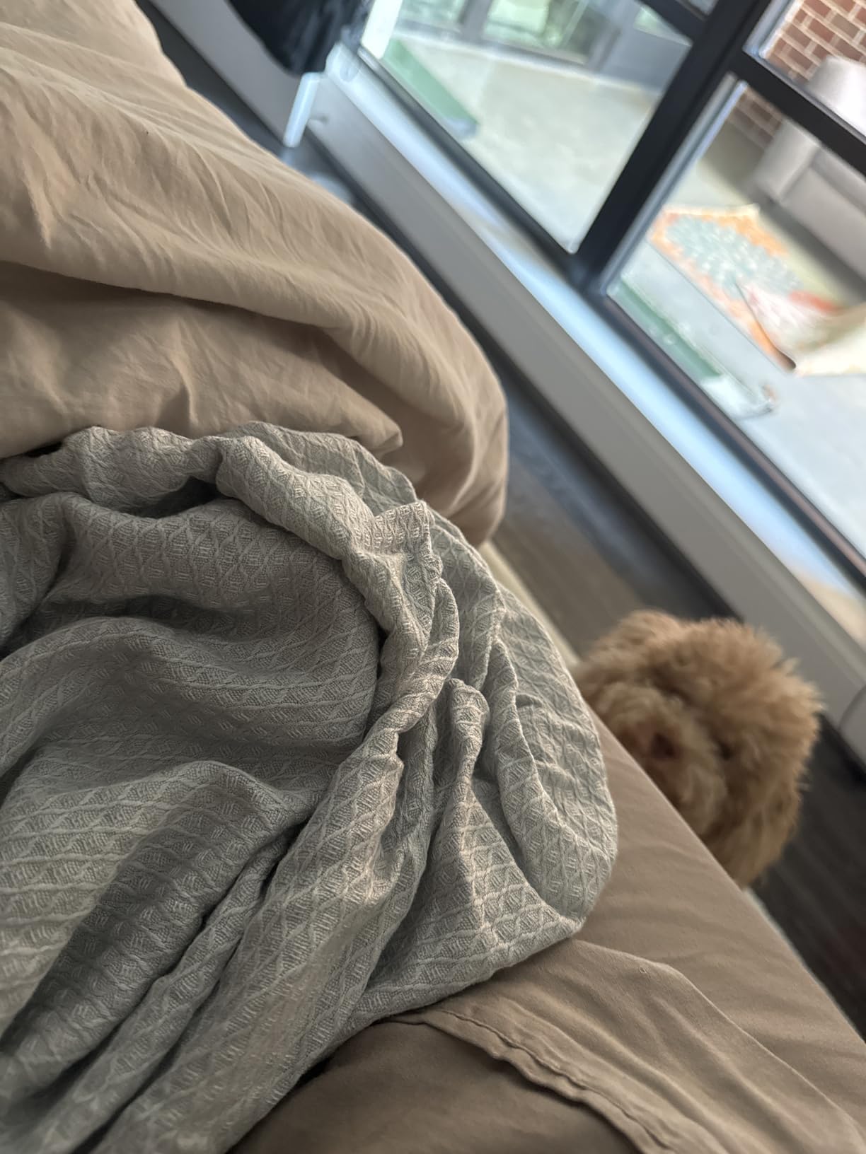 AmyHomie Cooling Blanket, 100% Rayon Derived from Bamboo, Cool Summer Blanket for Hot Sleepers, Soft Comfy Lightweight Blankets for All Seasons (Dark Gray, 79x91in) customer photo 2