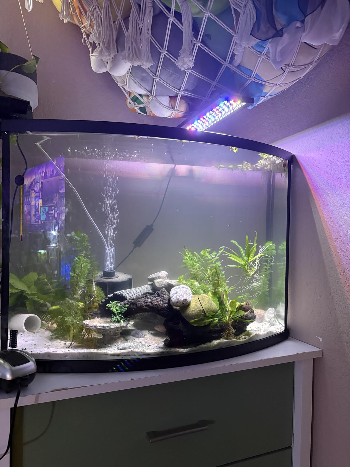 hygger Clip On 24/7 Lighting Aquarium LED Light,Sunrise-Daylight-Moonlight and DIY Mode, Adjustable Timer/Brightness Fish Tank Light with 7 Colors for Planted Tank (14W for 12~20in Tank) customer photo 2