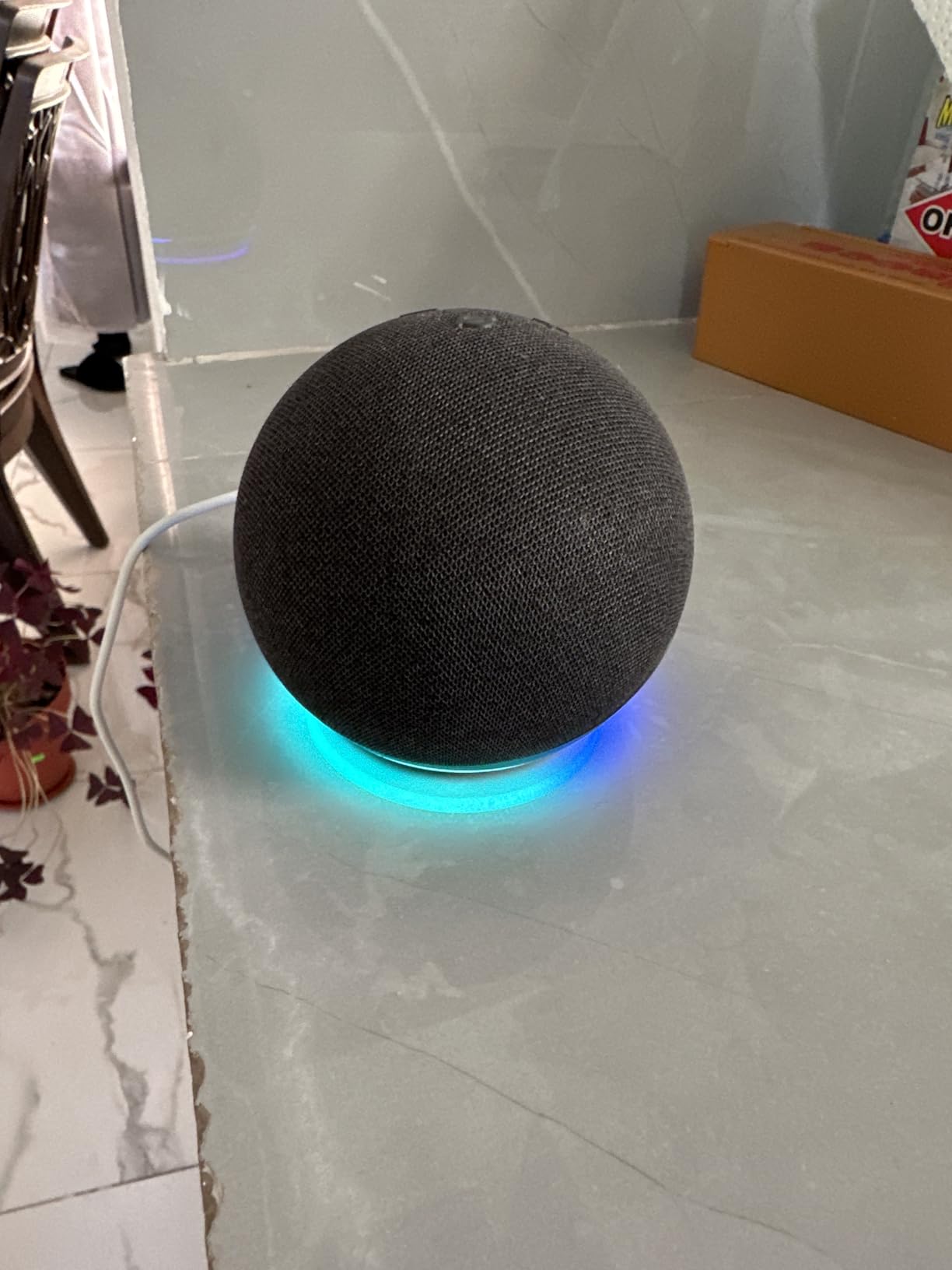 Amazon Echo Dot (newest model) - Vibrant sounding speaker, Designed for Alexa+, Great for bedrooms, dining rooms and offices, Glacier White customer photo 2