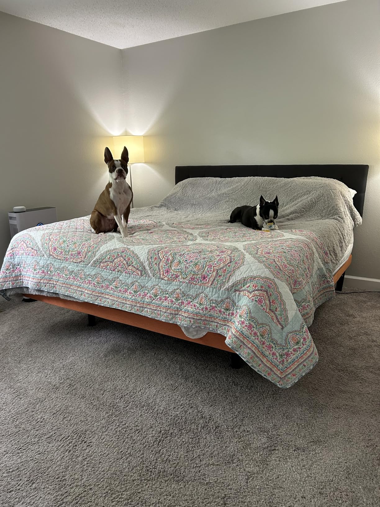 ESHINE King Adjustable Bed Frame Base - Easy to Install in 5 Minutes, Massage, Wireless Remote, Foot&Head Inclined, Zero Gravity, Dual USB Ports, Under Bed Light, 3000 Premium Series customer photo 1