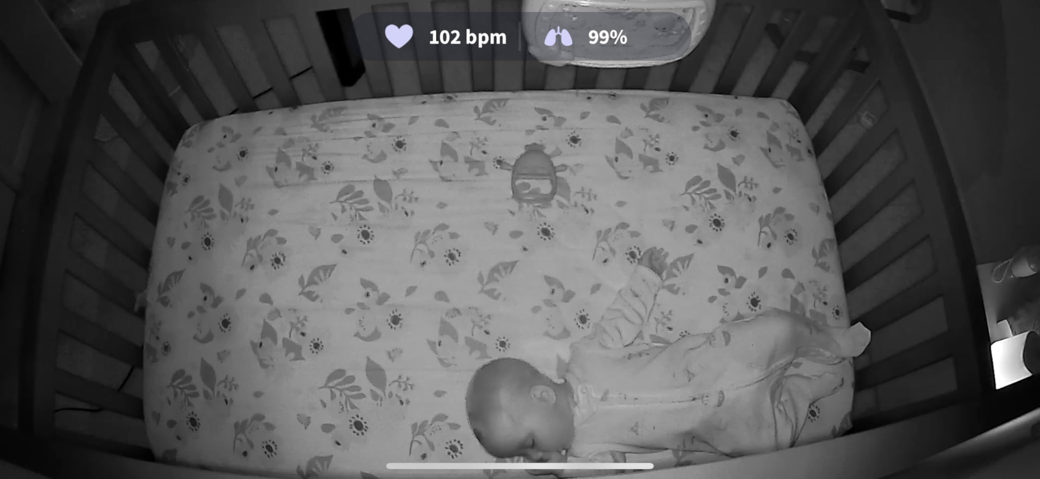 Dream Duo (Gen 1) Smart Baby Monitor: FDA-Cleared Dream Sock Plus Owlet Cam 2 - Tracks & Notifies for Pulse Rate & Oxygen While Viewing Baby in 1080p HD WiFi Video customer photo 1