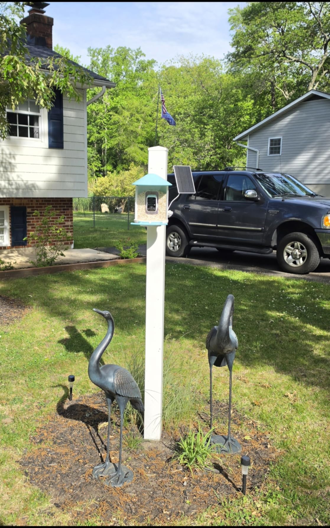 NETVUE by Birdfy Smart Bird Feeder with 2K HD AI Camera Solar Powered, Wireless Wildbird Watching, Live Stream&Color Night Vision, Auto-Capture & Notify, Free Cloud Storage(AI by Subscription) customer photo 1