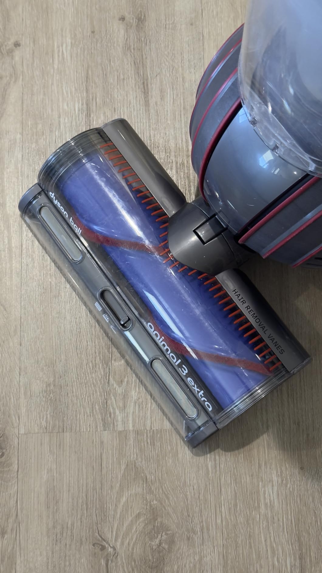 Dyson Ball Animal 3 Extra Upright Vacuum customer photo 2