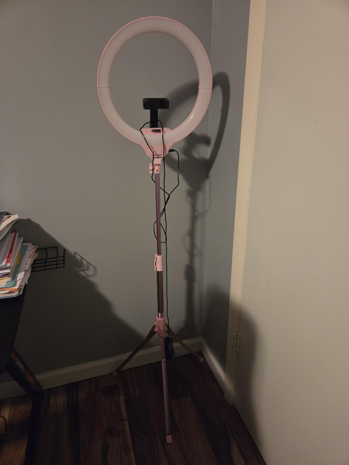 Aureday 14'' Selfie Ring Light with 62'' Tripod Stand and Phone Holder, Dimmable LED Phone Ringlight for Makeup/Video Recording/Photography, Circle Lighting for All Cell Phones&Lightweight Cameras customer photo 2