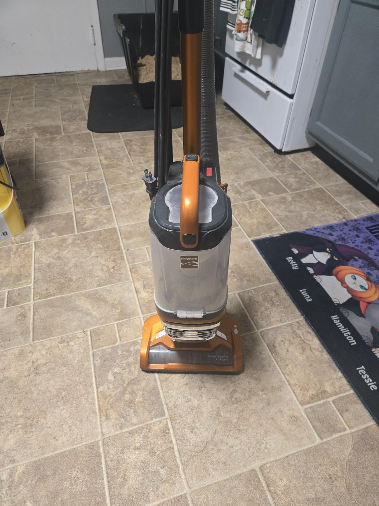 Kenmore DU4080 Featherlite Lift-Up Bagless Upright Vacuum 2-Motor Power Suction Lightweight Carpet Cleaner with HEPA Filter, 2 Cleaning Tools for Pet Hair, Hard Floor, Orange customer photo 2