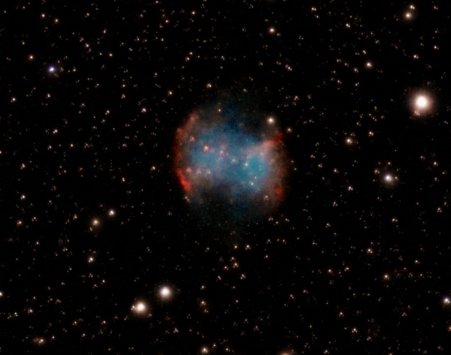 Unistellar eVscope 2 - Smart Telescope with Eyepiece, 114mm f/4 Digital and Computerized, App-Controlled Motorized Alt-Az, Enhanced Vision Technology, RAW/FITS Export, 64GB, Tripod, 9h Battery customer photo 2