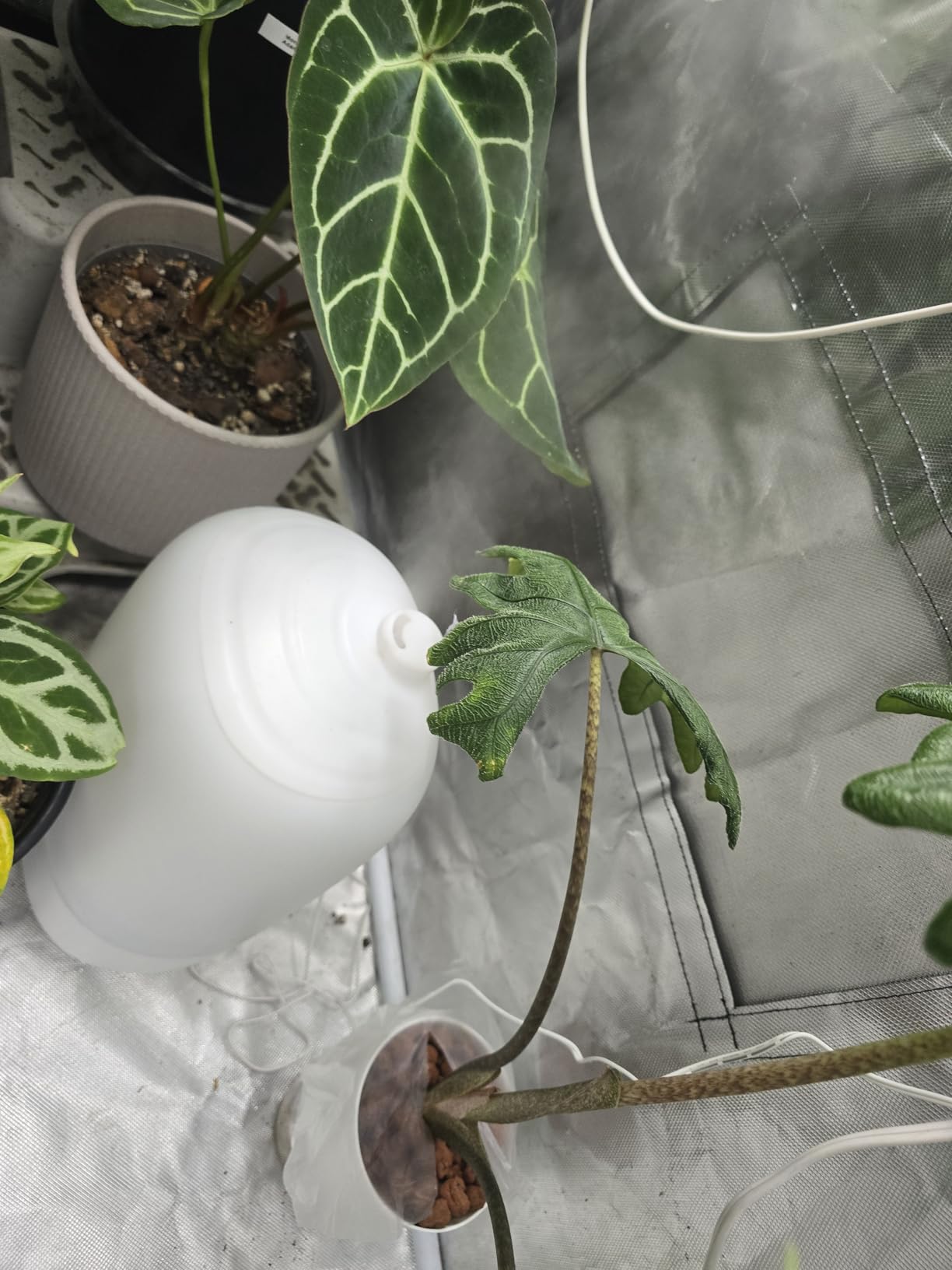 GoveeLife Smart Humidifiers for Bedroom, 3L Top Fill Cool Mist Humidifier, 24dB Quiet Runtime, Humidity Control, WiFi Air Humidifier with Night Light, for Baby, Plants, Home, Work with Alexa customer photo 2