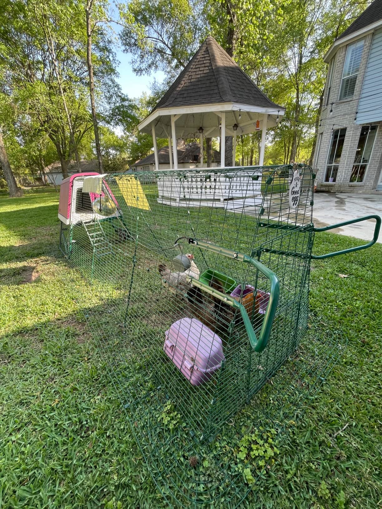 Omlet Portable Chicken Coop Go Up | Easy to Clean and Maintain Plastic Chicken Tractor | Cool in Summer, Warm in Winter Weatherproof Hen House | Green Coop with 6ft Run and Wheels customer photo 1