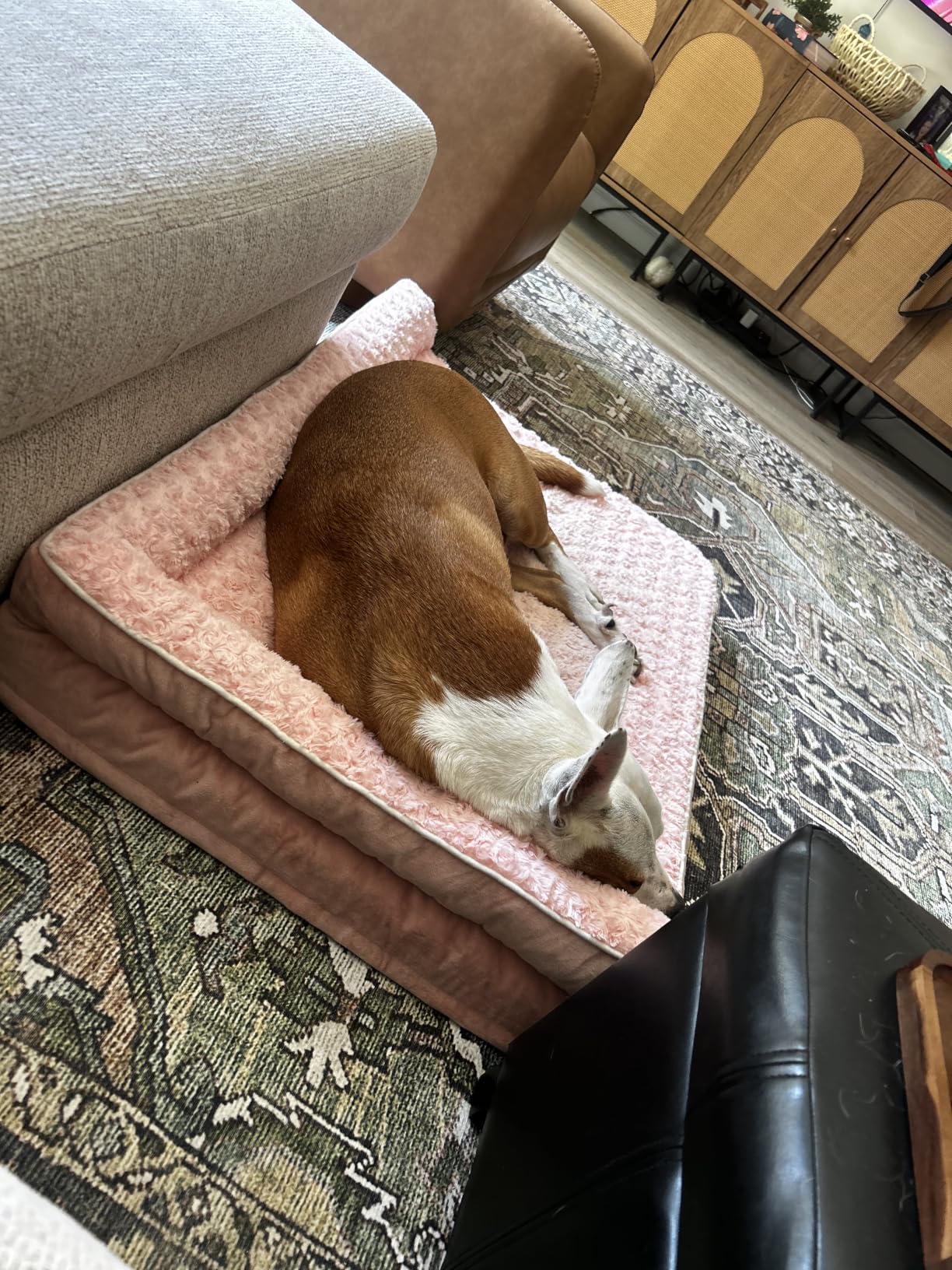 BFPETHOME Orthopedic Dog Beds for Large Dogs-Waterproof Sofa Dog Bed with Removable Washable Cover, Big Pet Bed with Waterproof Lining and Nonskid Bottom, Pet Bed for Large Dogs customer photo 1