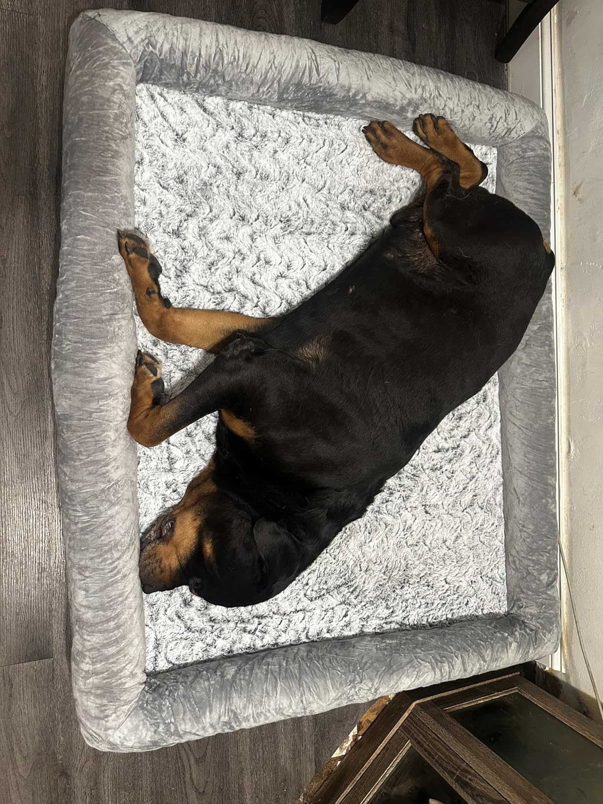 WNPETHOME XXL Extra Large Dog Bed, Washable Dog Couch with Removable Waterproof Cover, Orthopedic Large Pet Sofa Bed with Bolster Sides for Sleeping customer photo 2