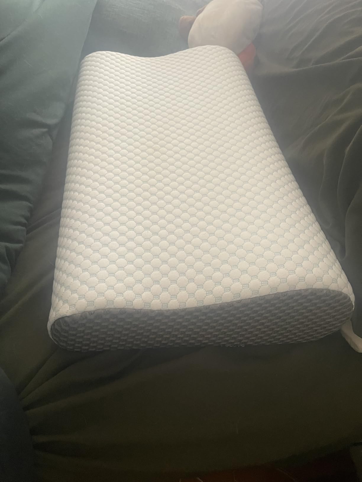 Memory Foam Pillows Neck Pillow Bed Pillow for Sleeping, Ergonomic Cervical Pillow for Neck and Shoulder Pain Relief, Orthopedic Contour Pillow for Side Back Stomach Sleeper customer photo 1