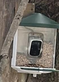 HARYMOR Bird Feeder with Camera with AI Identify Birds Species Solar Powered, Smart Bird House with Cam, 2K HD Video Live Stream, Instant Arrival Alerts - Green customer photo 2