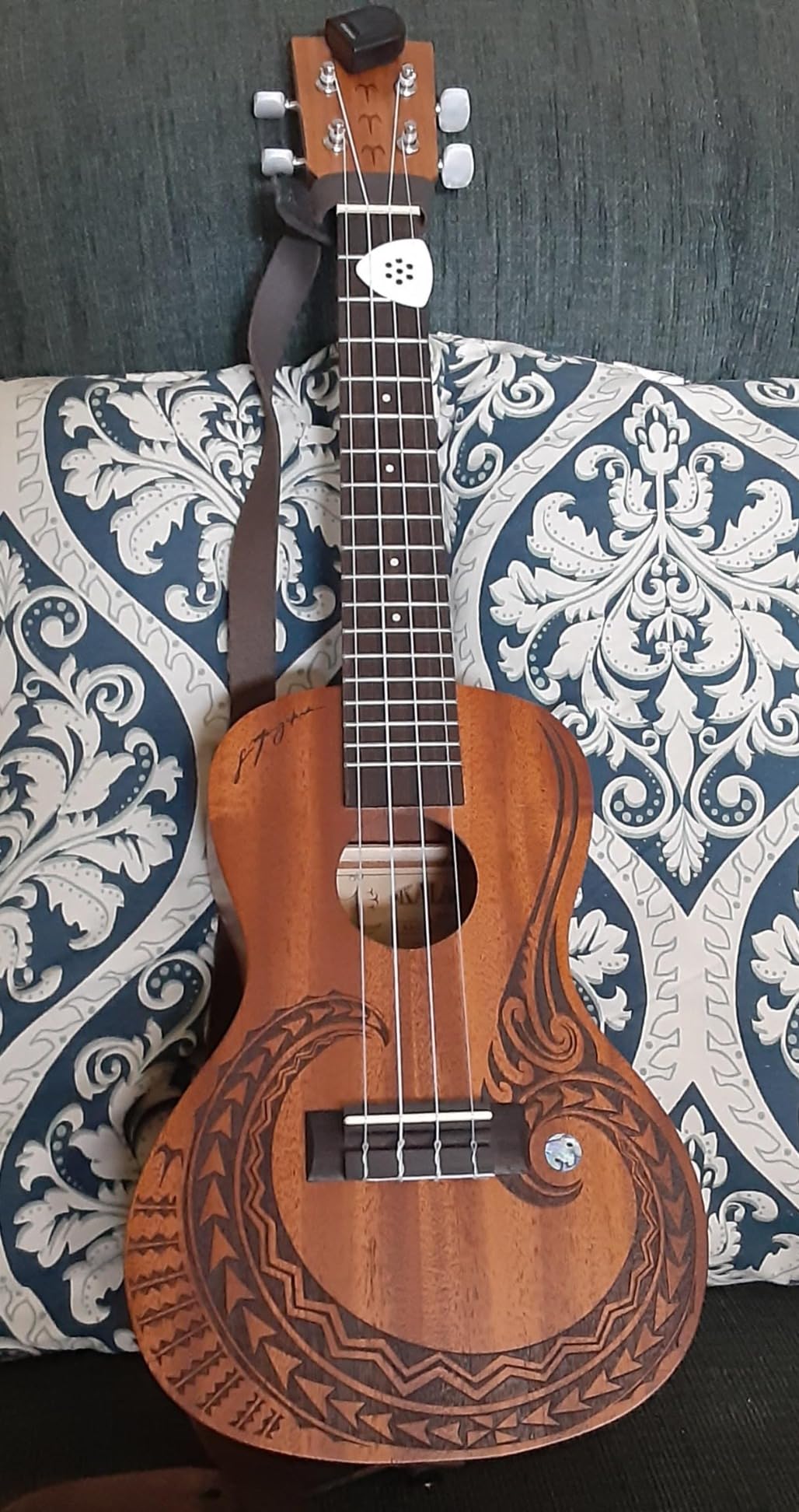 Kala Voyage Collection Unity Concert Ukulele (KA-UNITY-C) customer photo 1