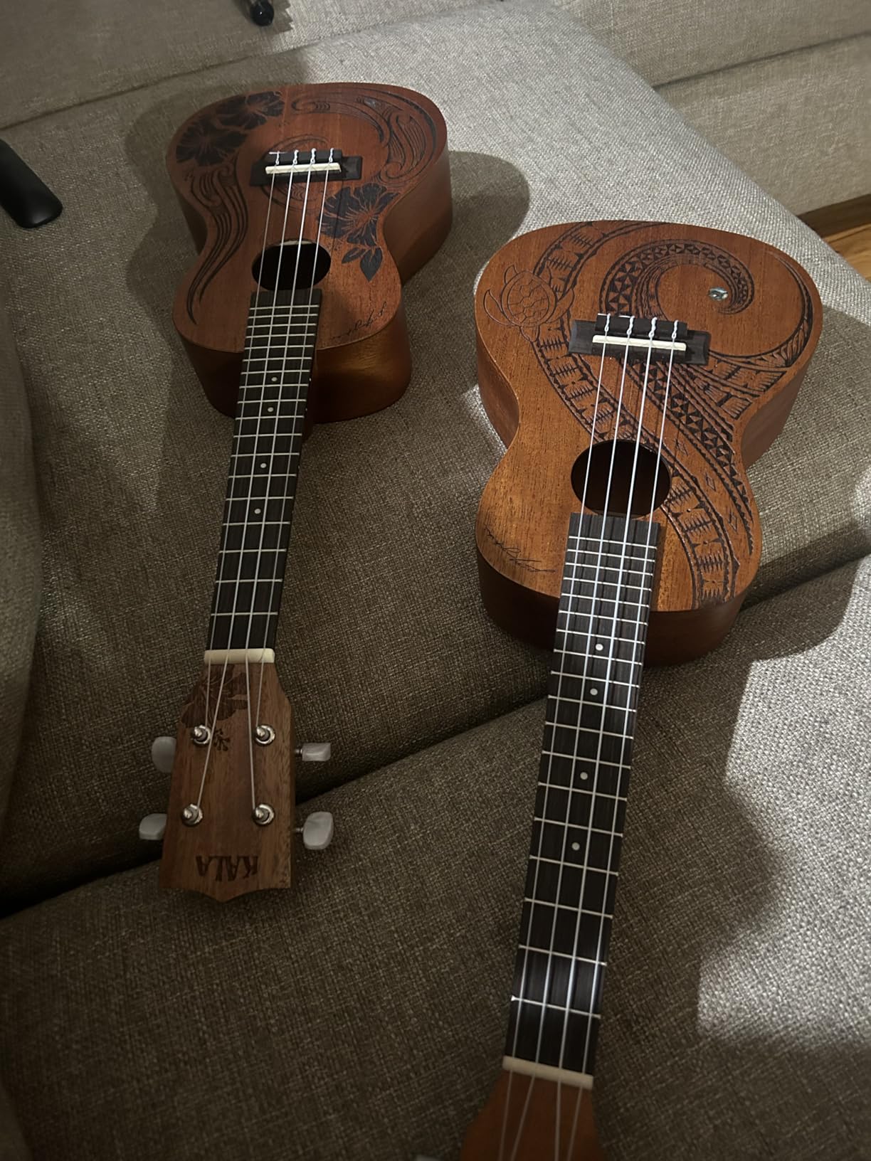Kala Voyage Collection Unity Concert Ukulele (KA-UNITY-C) customer photo 2
