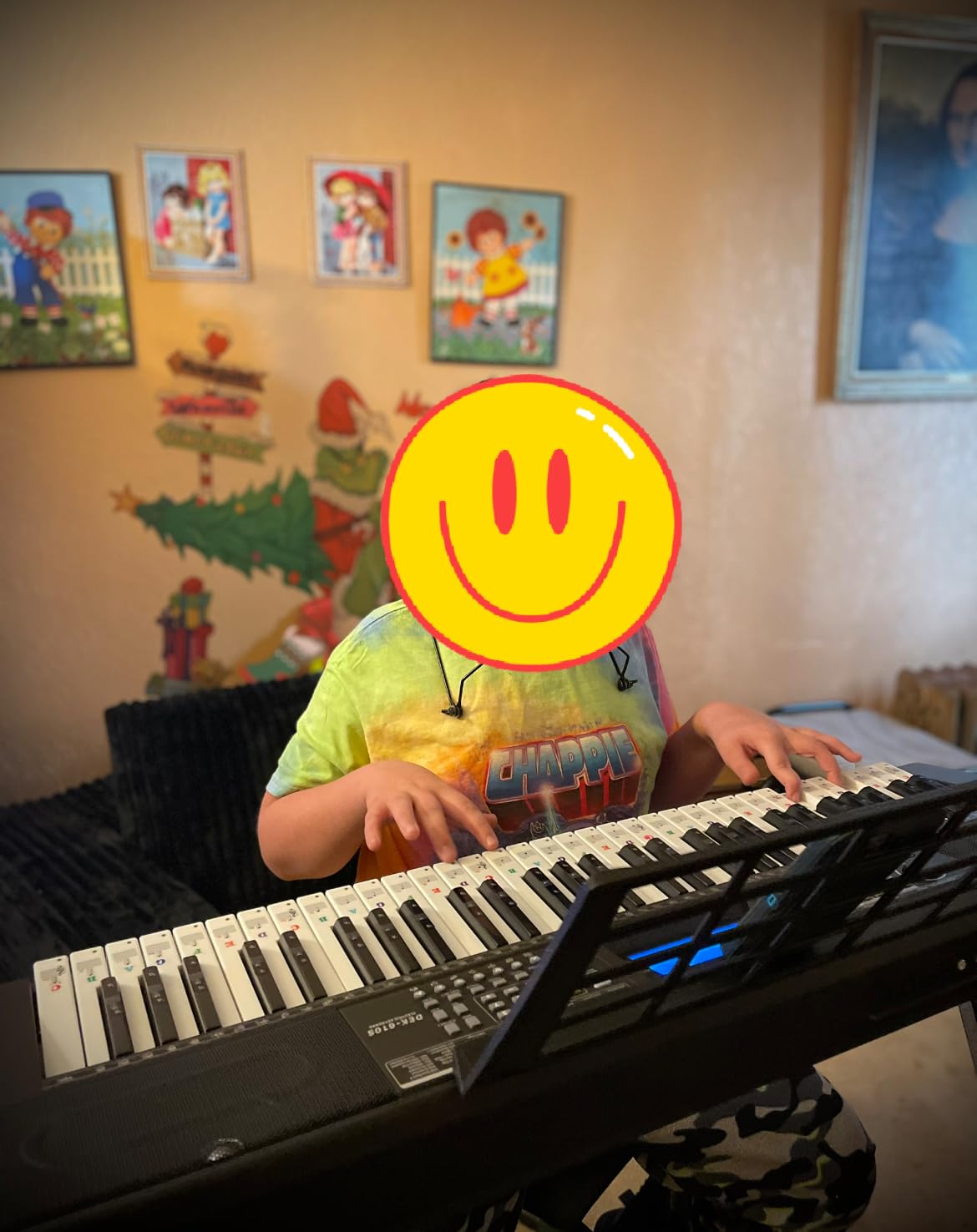 Keyboard Piano, 61 Key Piano Keyboard for Beginner/Professional, Electric Keyboard Kit with 249 Voices, 249 Rhythms (DEK-610S) customer photo 2