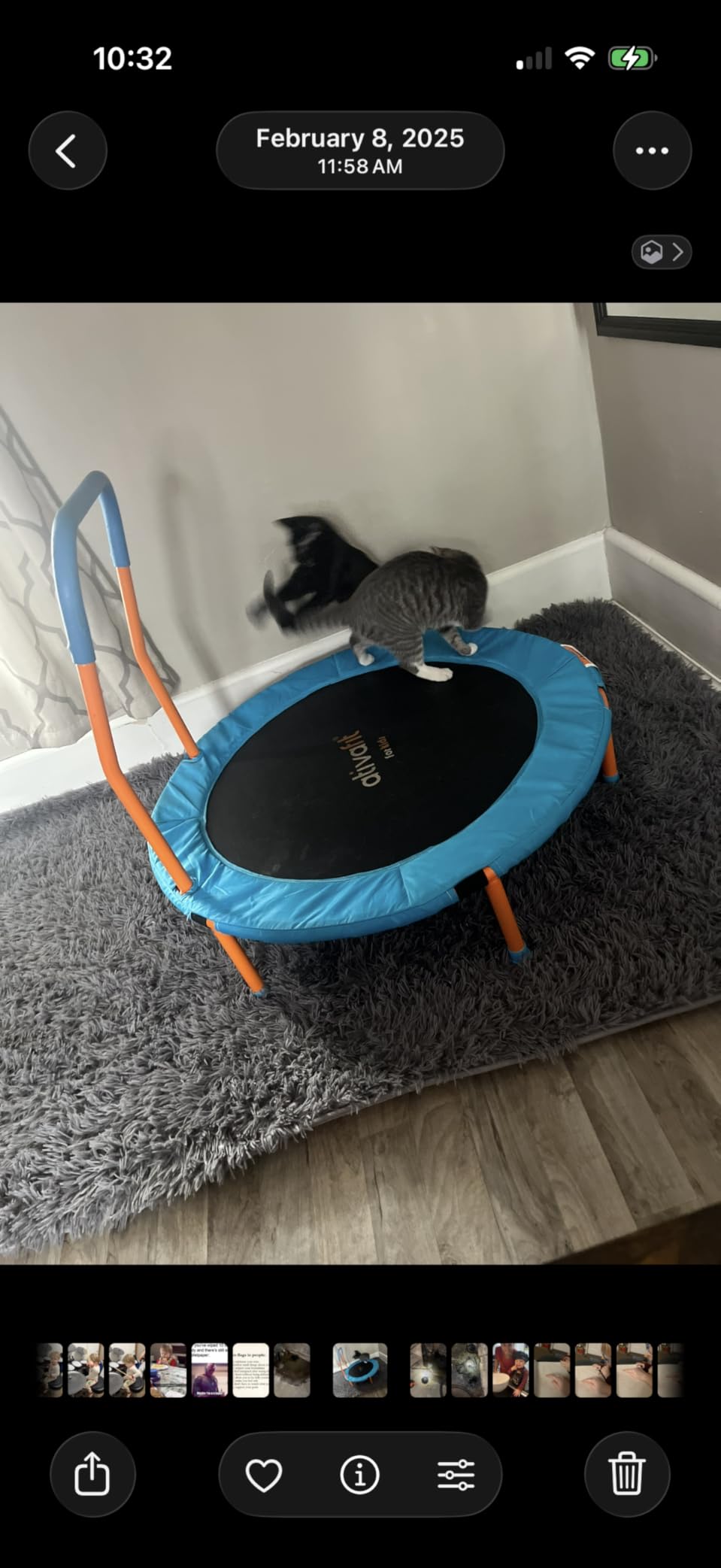 ATIVAFIT 36-Inch Toddler Trampoline with Foam Handle, Foldable Indoor Outdoor Mini Rebounder for Kids Ages 2-6 customer photo 1