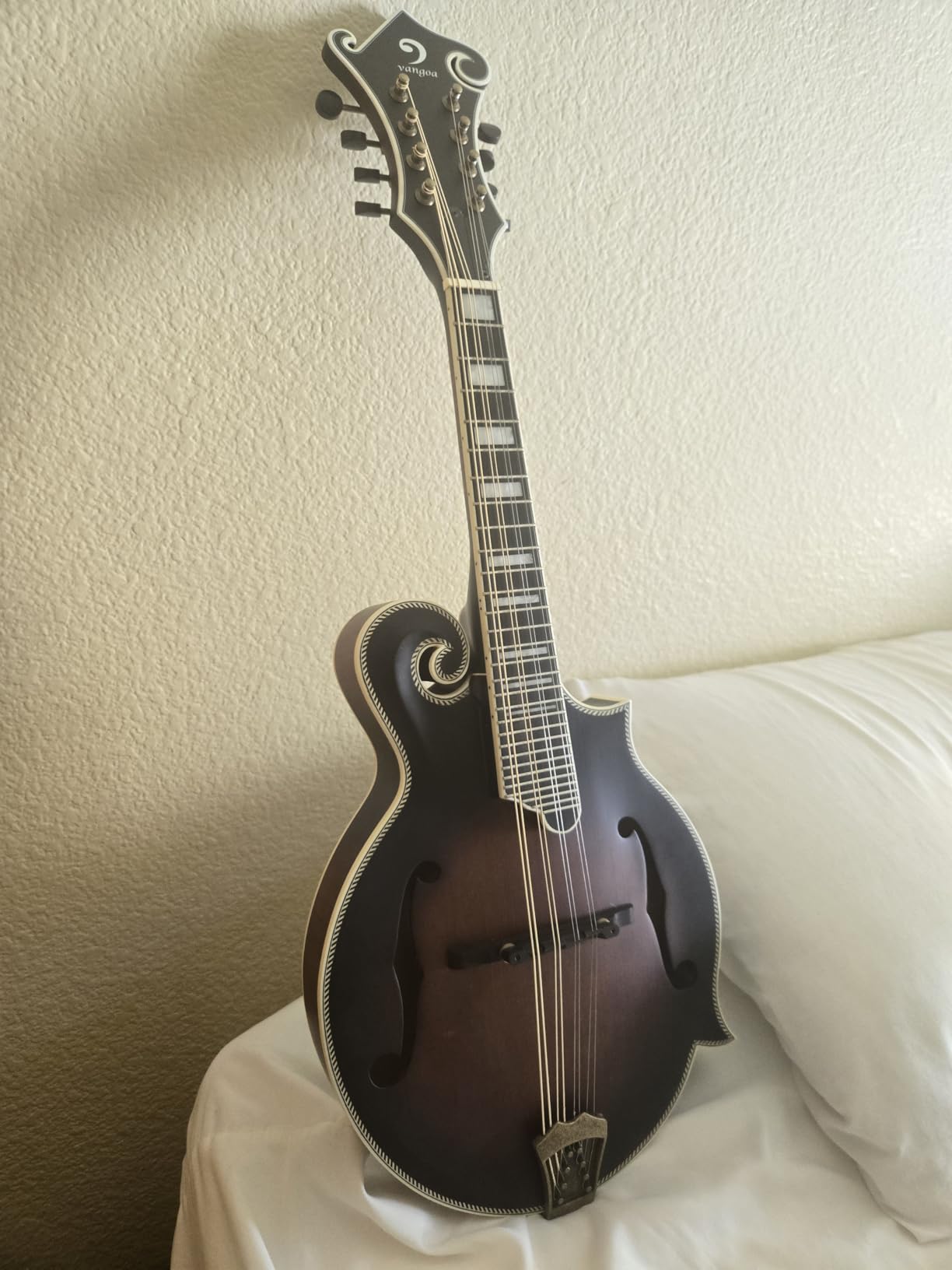 Vangoa F-Style Mandolin 29-Fret, 8 String Acoustic for Beginner Adults - Sunburst customer photo 2