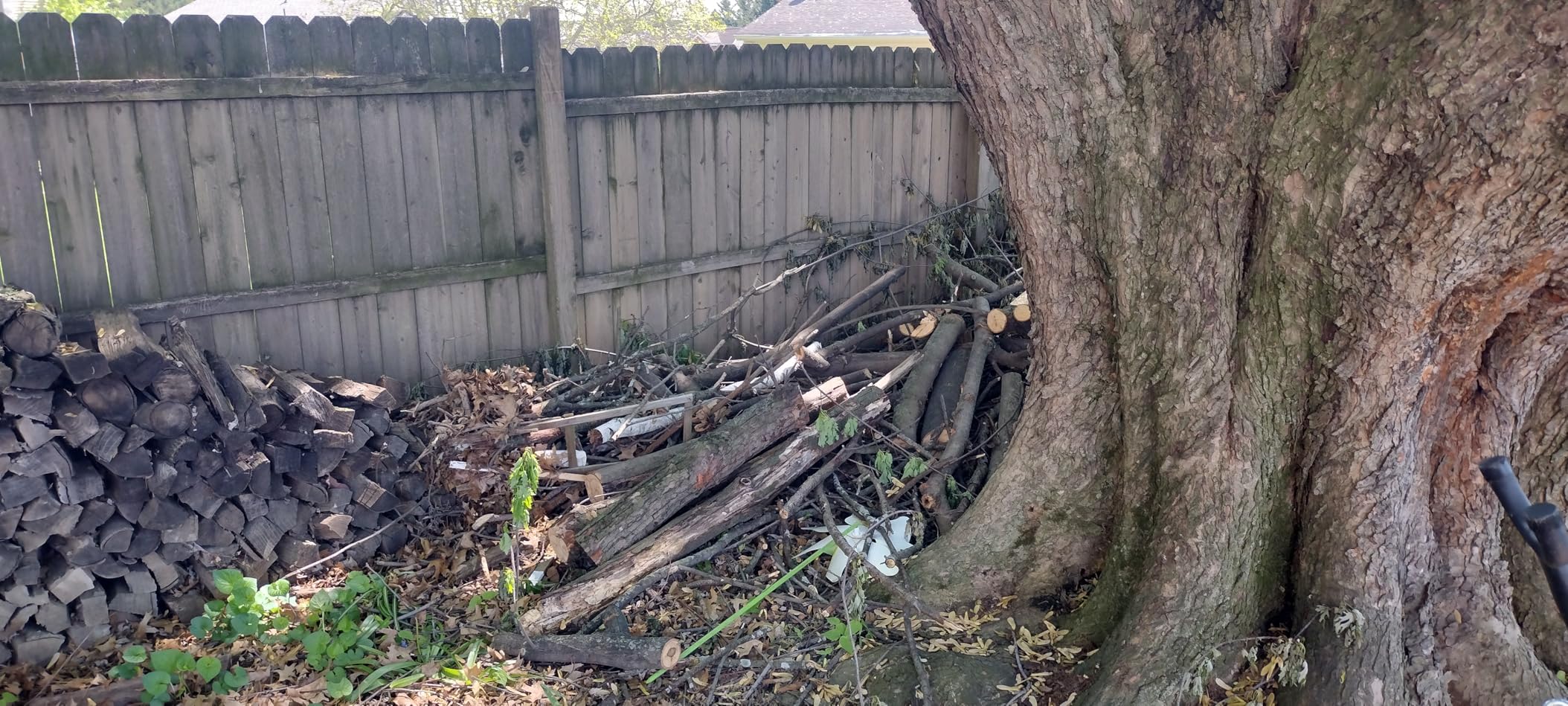 CRAFTSMAN V20 RP Cordless Chainsaw, 12 Inch, 5Ah Battery and Charger Included (CMCCS630P1) customer photo 1