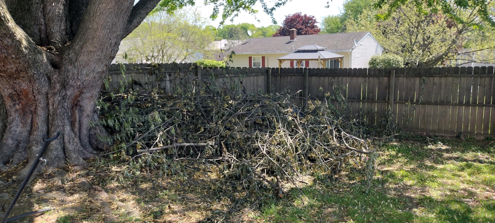CRAFTSMAN V20 RP Cordless Chainsaw, 12 Inch, 5Ah Battery and Charger Included (CMCCS630P1) customer photo 2