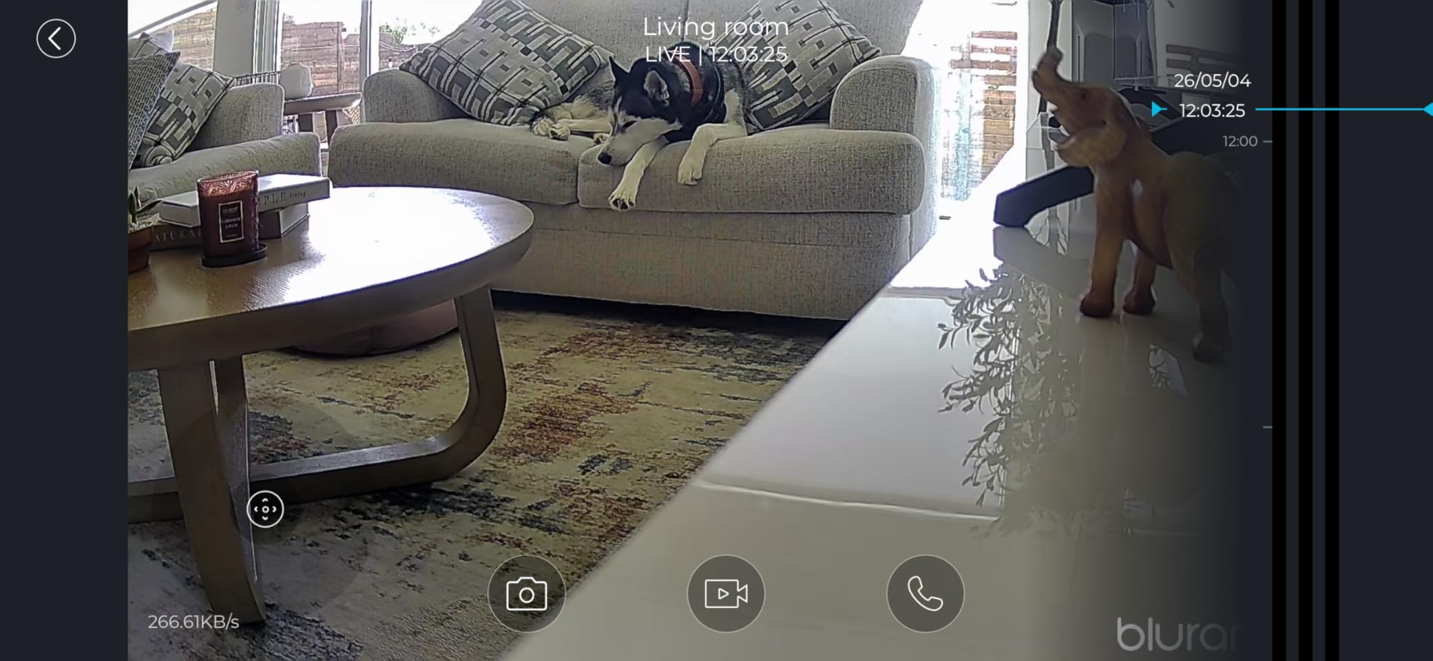 blurams 5G Cameras for Home Security, 2K Pet Camera with Phone App, 360° PTZ Indoor Camera w/Dual-Band WiFi6, Free Human/Motion/Sound Detection, 2-Way Talk, Night Vision, Compatible with Alexa, 2Pack customer photo 2