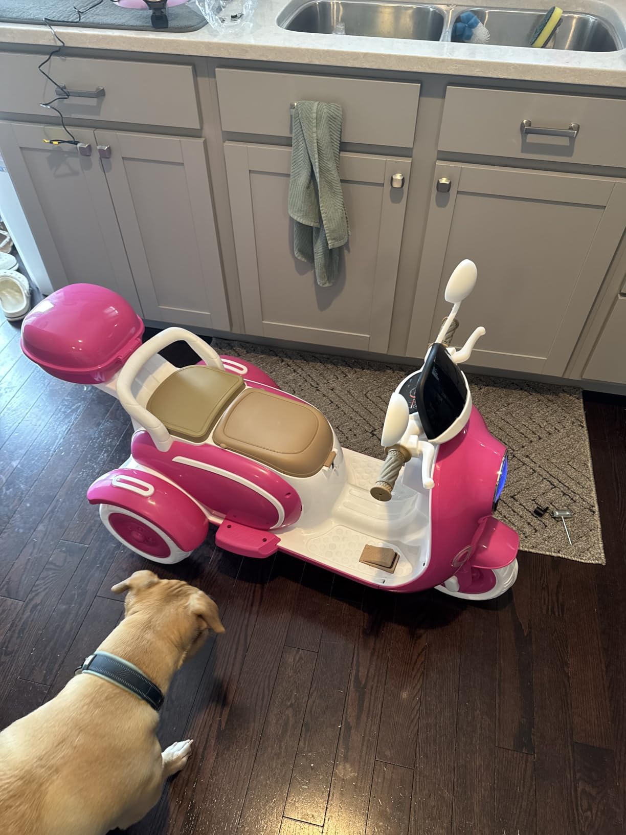 HEIMILI 12V 2-Seater Ride on Motorcycle for Kids, 3 Wheel Electric Motorbike with Dual Motors, Bluetooth Music, Pink customer photo 2