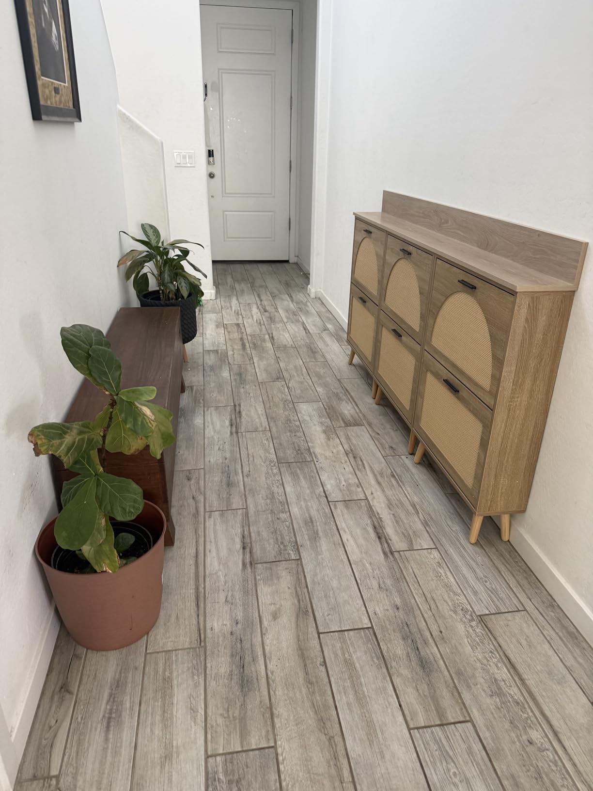 VEVOR Shoe Cabinet with 2 Flip Drawers, Shoe Storage Cabinet for Entryway, Free Standing Shoe Storage Organizer with Rattan Doors for Heels, Boots, Slippers in Hallway, Living Room customer photo 2