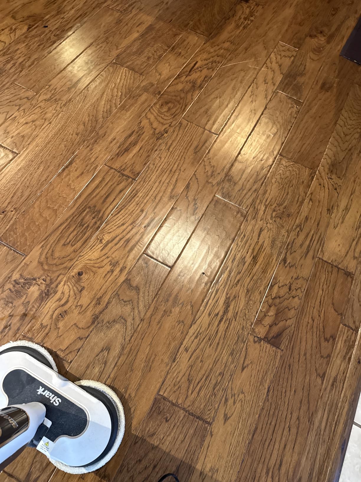 Shark Steam & Scrub with Steam Blaster Technology All-in-One Hard Floor Steam Mop with 3 Steam Modes & LED Headlights S8201, Rotator White customer photo 2